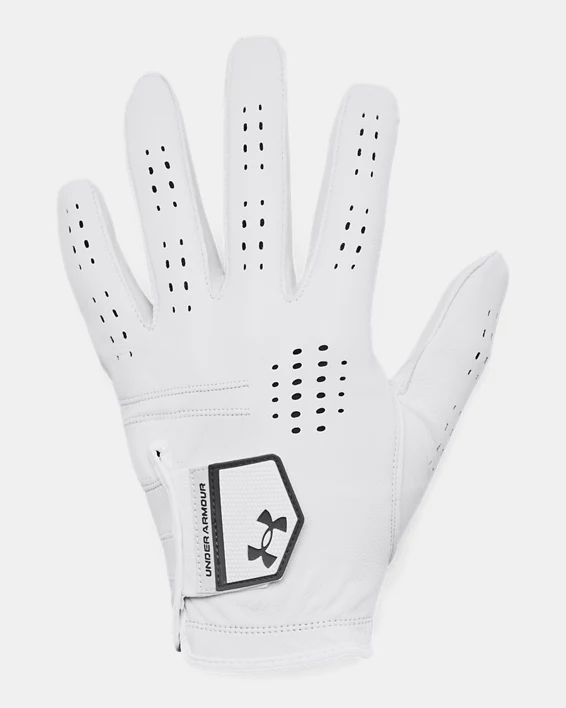 UA Drive Tour Mens Glove