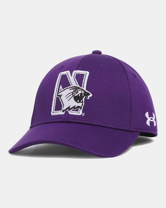 Northwestern University-500
