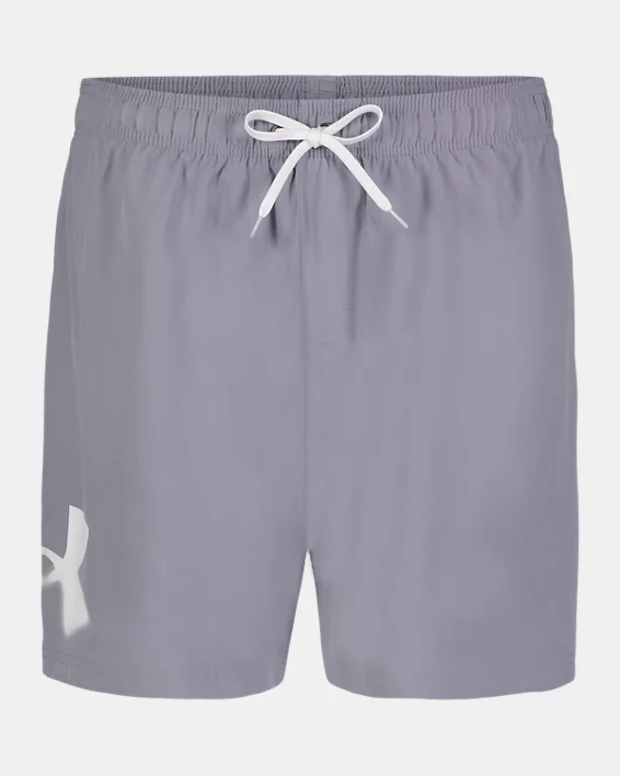 UA Logo Volley Mens Swim Shorts