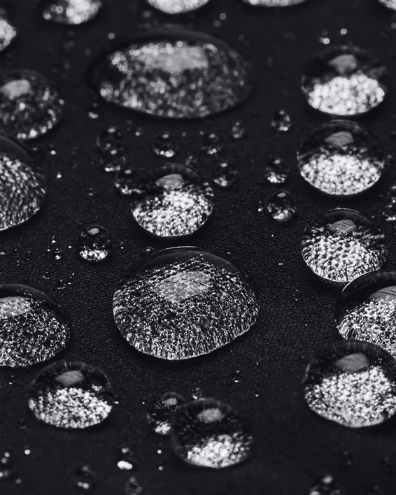 V5-1387030-001_STORM_SL.webp